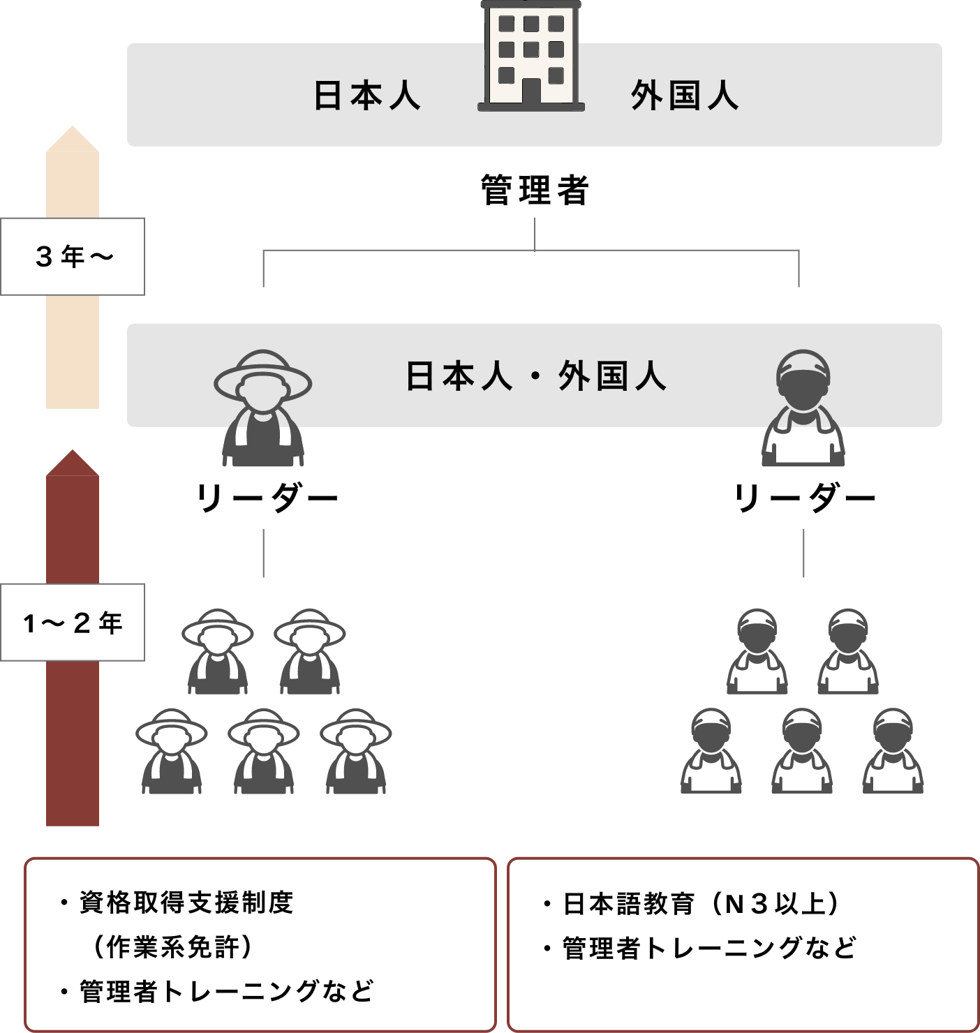 教育の流れ