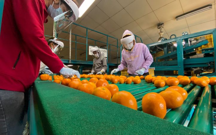 技術者・管理者育成