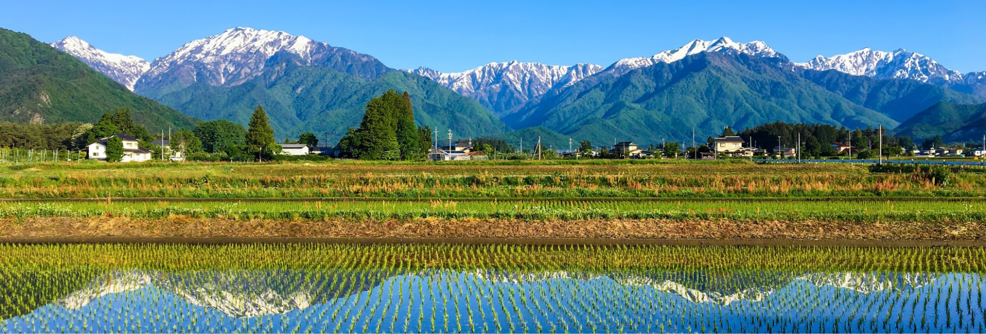 農場の風景